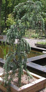 Blue Atlas